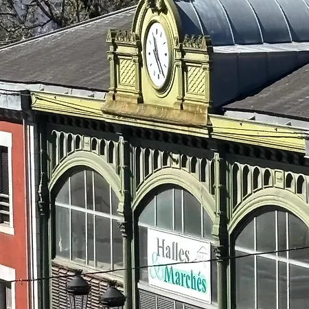 Les Orchidees Et Les Marguerites Appartement Lourdes