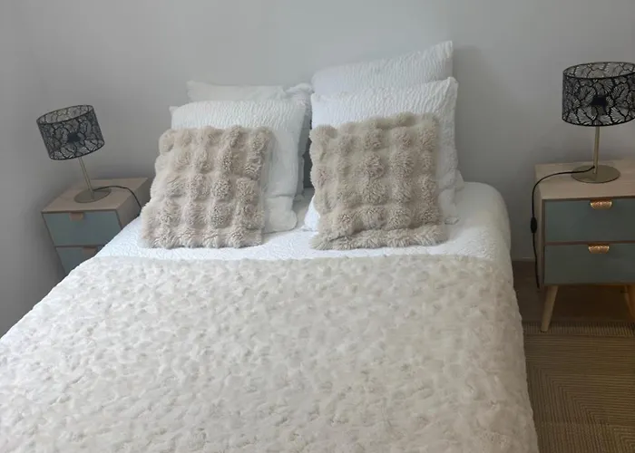 Les Orchidees Et Les Marguerites * Лурд